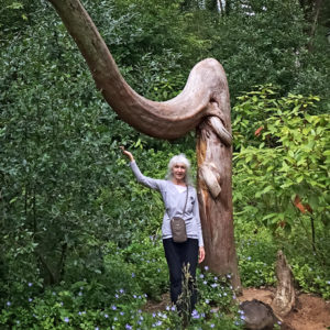 Lora in a magical forest